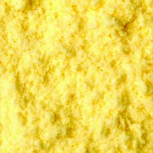 Pastmil - Farinha Pré Gelatinizado de Milho
