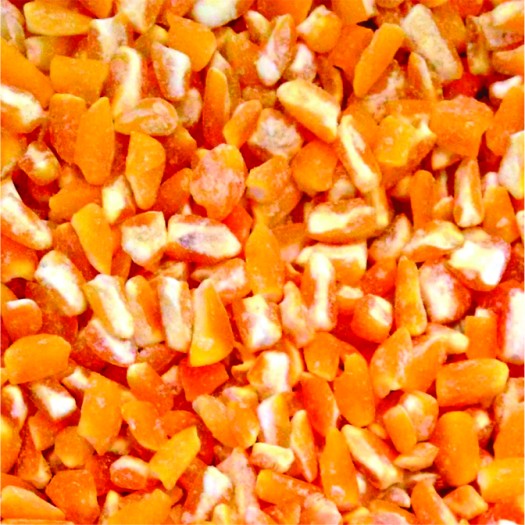 Canjica Amarela Extra