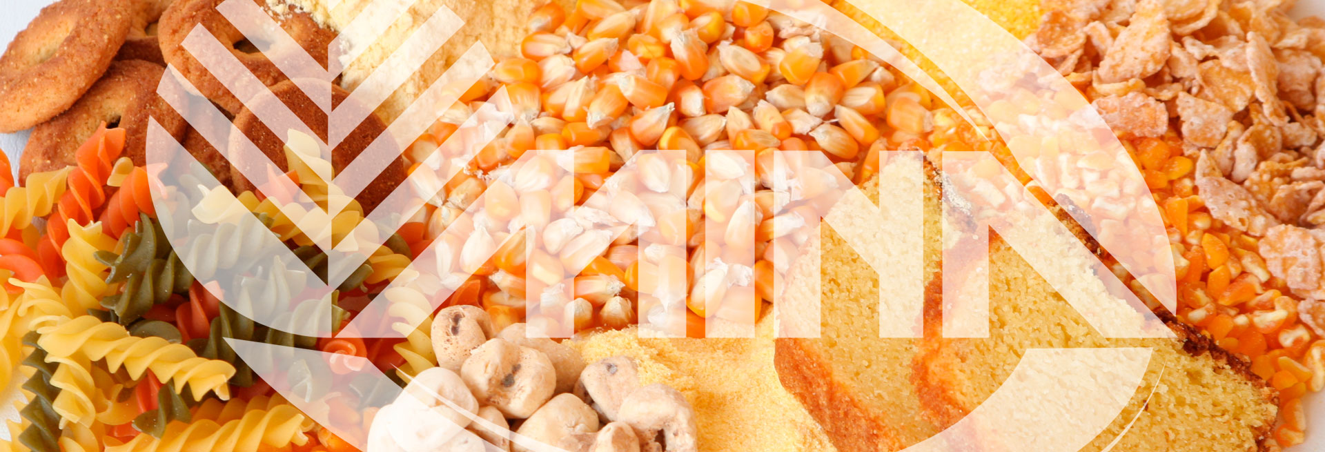 Banner 1